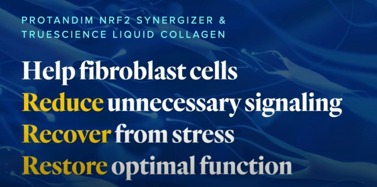 Nrf2 & Activated Collagen